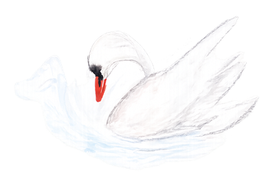 Ilustração de um cisne